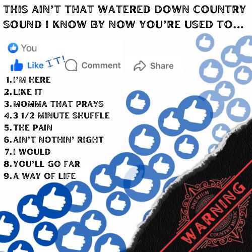 Like It! album back cover